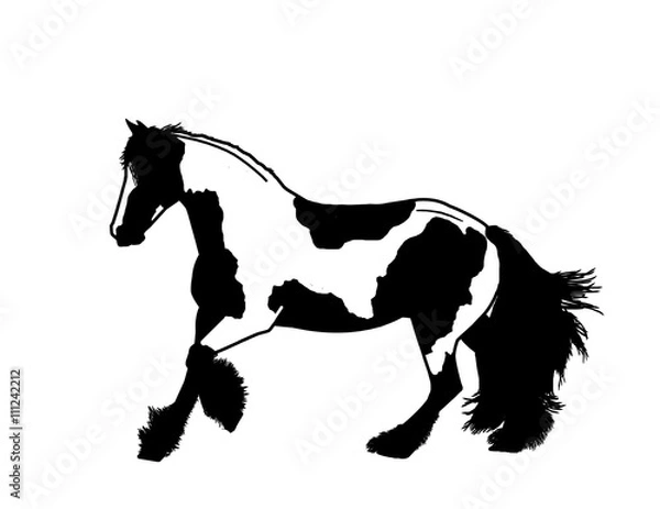 Fototapeta Irish Tinker