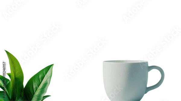 Fototapeta Chic cup beside lush green plant. transparent background
