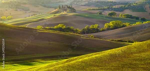 Obraz słoneczny poranek w Toskanii,Val d'Orcia,Włochy