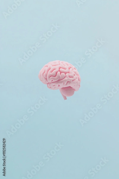 Obraz Human brain pink color on blue background, anatomy and biology. Concept vertical template of idea, mental development, artificial intelligence and brain diseases with space for text