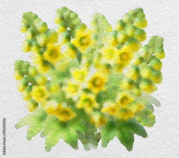 Obraz Cluster of Yellow Blooms in Watercolor Style with clipping path
