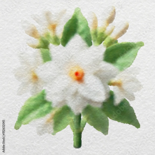 Obraz White Floral Cluster with Green Leaves with clipping path