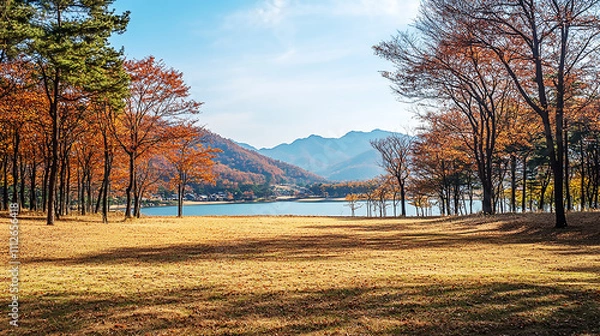 Obraz the beautiful landscape of Nami island during the autumn foliage,Korea.