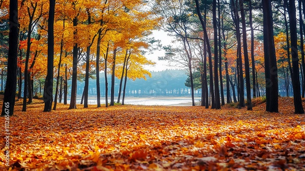 Obraz the beautiful landscape of Nami island during the autumn foliage, Korea.