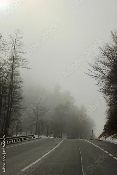 Fototapeta Majestic mountains rise above dense, sprawling forests, creating a harmonious and timeless natural landscape.