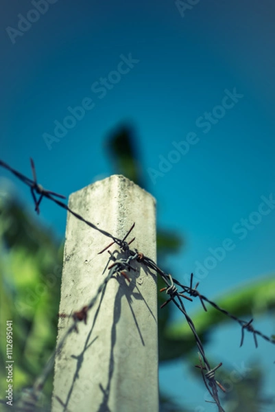 Obraz Sharp and sharp wire