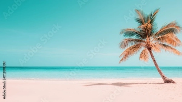 Fototapeta Single palm tree on idyllic tropical beach, turquoise ocean, clear sky.