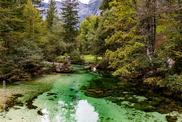 Fototapeta A crystal-clear emerald stream flows through lush forest surrounded by the majestic Julian Alps