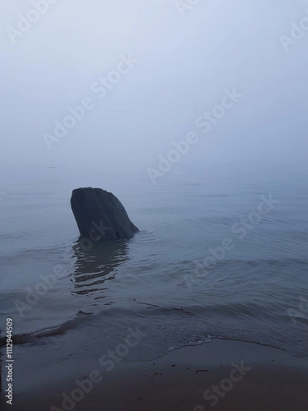 Fototapeta log in river