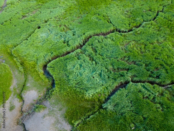 Fototapeta Aerial view of tidal channels and gullies, Saeftinge, The Netherlands
