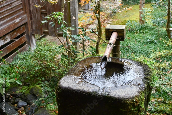 Fototapeta 京都 大原 三千院 清浄水	