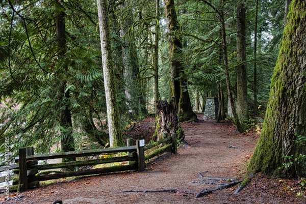 Fototapeta Scenic view of trail passing through provincial Parks in British Colombia, Canada