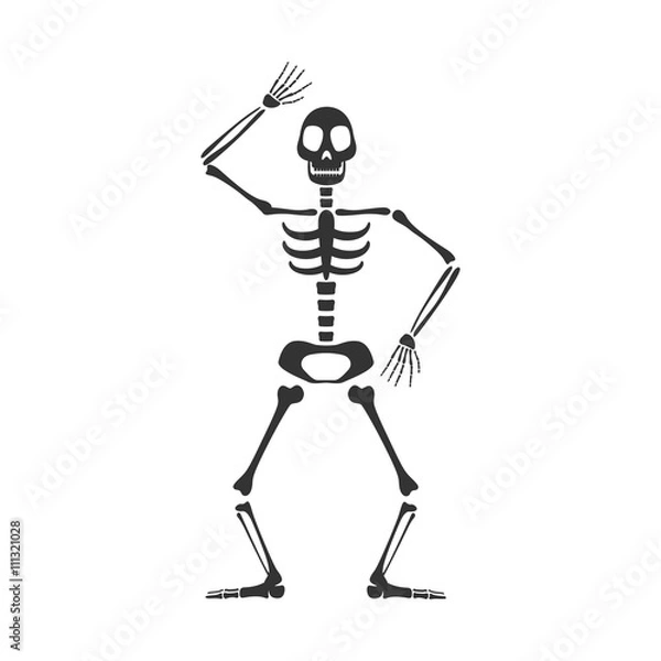 Fototapeta Vector Illustration of a Skeleton