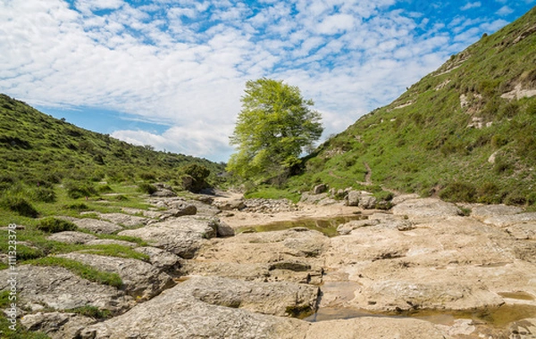 Obraz Salto del Nervión y alrededores en un día soleado