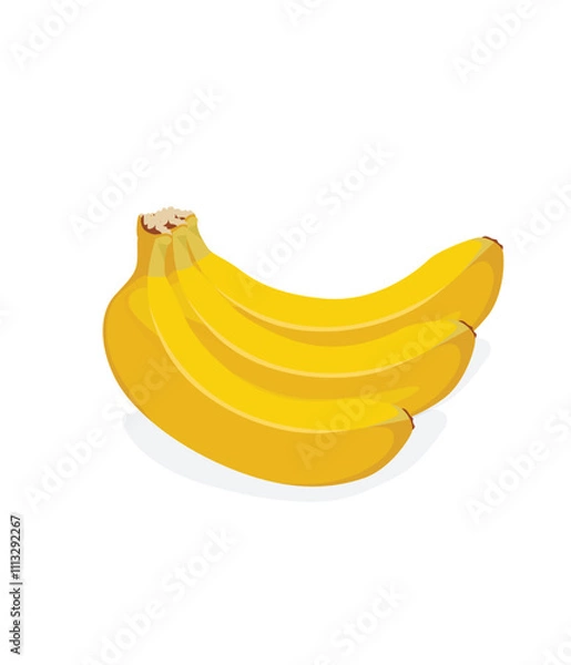 Fototapeta Ripe banana bunch on white background, vector illustration stock illustration