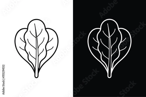 Fototapeta Organic Spinach Leaf Sketch. A Minimalist Botanical Design