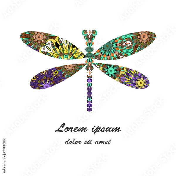 Obraz dragonfly icon vector illustration