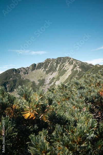 Fototapeta 仙丈ヶ岳の稜線