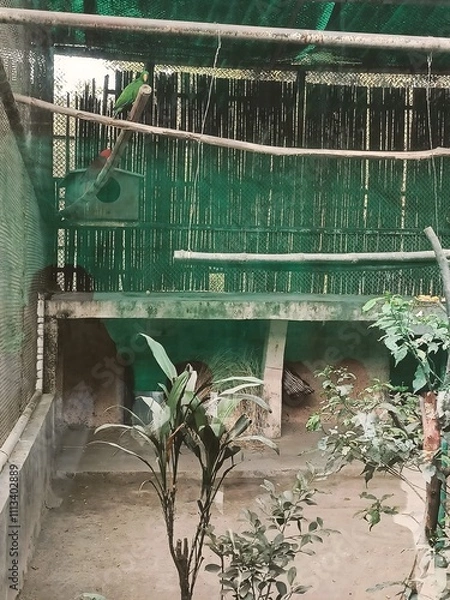 Obraz Parrot Perched Inside a Green Aviary Surrounded by Plants and Branches in a Private Sanctuary