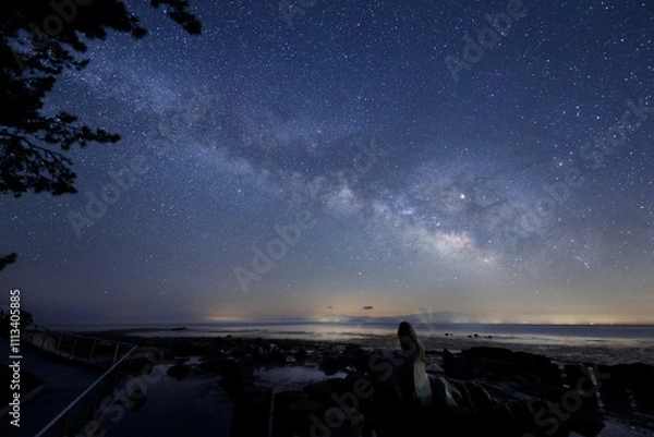 Fototapeta 海岸沿いのオブジェと天の川と能登半島の星空