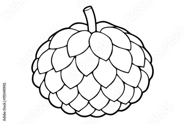 Fototapeta Vector hand drawn set of cherimoya