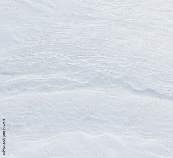 Fototapeta The snow is white and the ground is covered in it