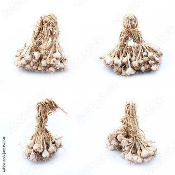 Obraz Garlic isolated on white background