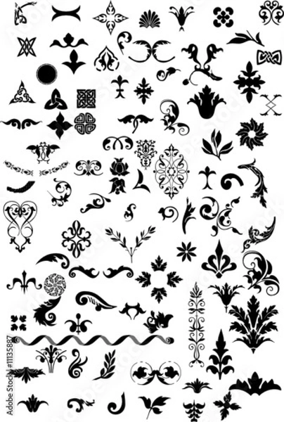 Obraz Floral element for designer