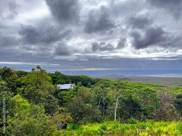 Fototapeta The beautiful and stunning highlands on Isla Floreana on Galapagos Archipelago in Ecuador, seen on a cloudy day from the top of a volcano