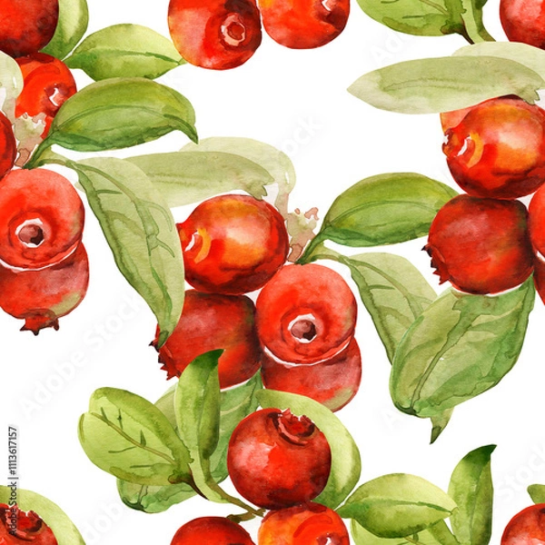 Fototapeta Seamless pattern of a branch of ripe cranberries.