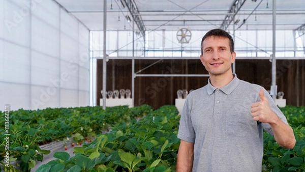 Obraz Caucasian man standing at strawberry greenhouse hydroponics farm portrait. 