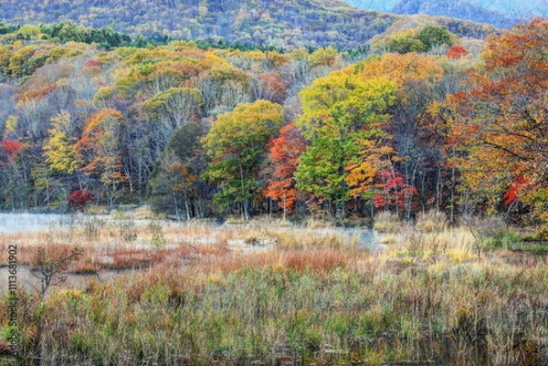 Fototapeta 南会津・観音沼の紅葉