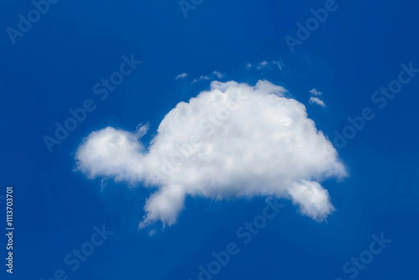 Fototapeta Fresh blue sky with floated white soft and fluffy clouds shown shaping like a turtle creep or crawling. Background for kid education or imagination learning for children. Image of the animal cloud.