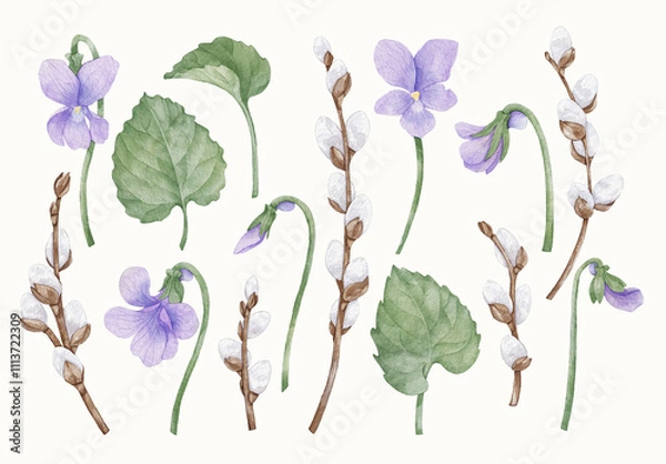 Obraz Watercolor Flower Design Set With Floral Elements.