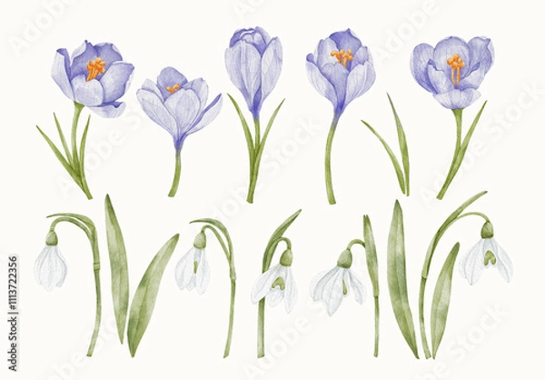 Obraz Watercolor Flower Design Set With Floral Elements.
