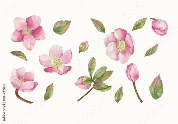 Obraz Watercolor Flower Design Set With Floral Elements.