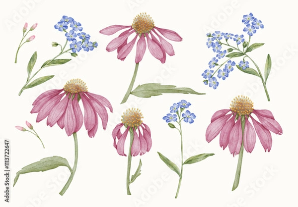 Obraz Watercolor Flower Design Set With Floral Elements.