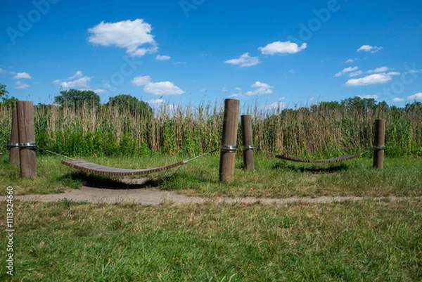 Fototapeta Relaxation Spot in Nature with Wooden Hammock