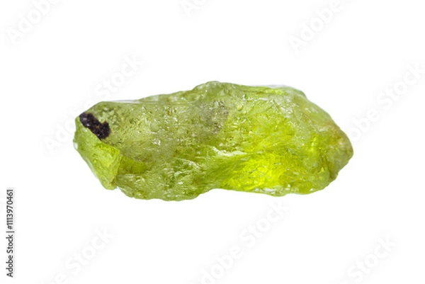 Fototapeta Natural rough Peridot (Chrysolite) gemstone on white background (Olivine mineral)(selective focus)