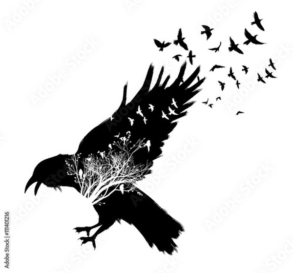 Obraz Raven podwójna ekspozycja.
