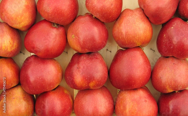 Obraz Red apples in crate