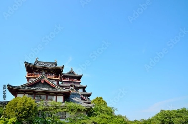 Fototapeta 京都　伏見桃山城