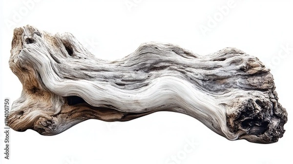 Fototapeta Log driftwood white background.