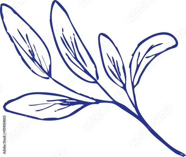 Obraz Sage illustration