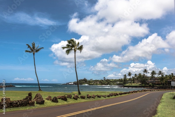Fototapeta View of the coast along Kukuiula Bay in Maui, Hawaii
