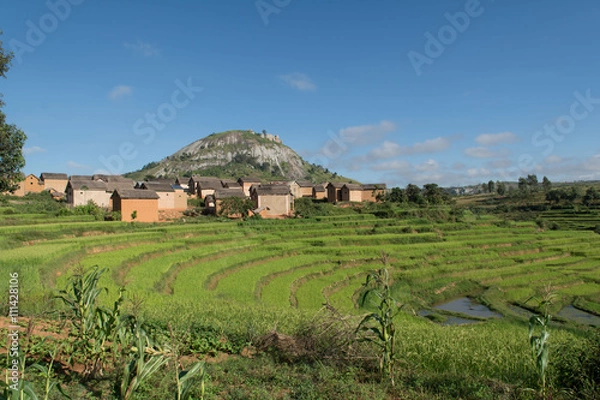 Fototapeta Madagascar