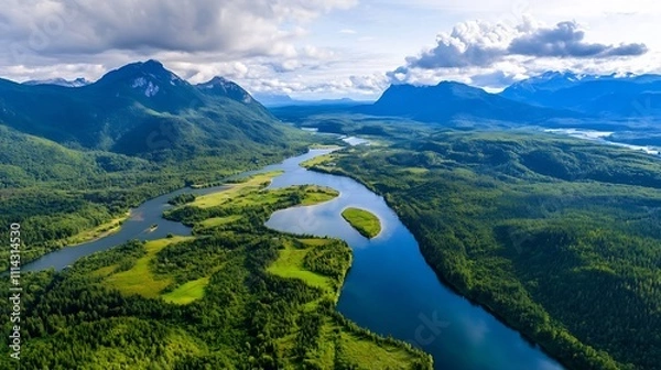 Fototapeta Vibrant Green Ecosystem with Rivers and Forests Viewed from Above