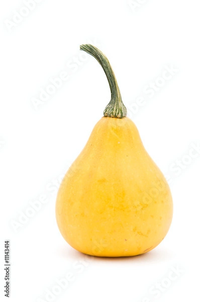 Fototapeta Decorative pumpkin