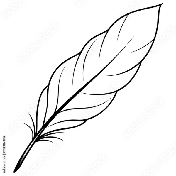 Fototapeta Softly Detailed Floating Feather Vector