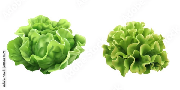 Fototapeta 3d render lettuce isolated on transparent background Cartoon Illustration in plastic style